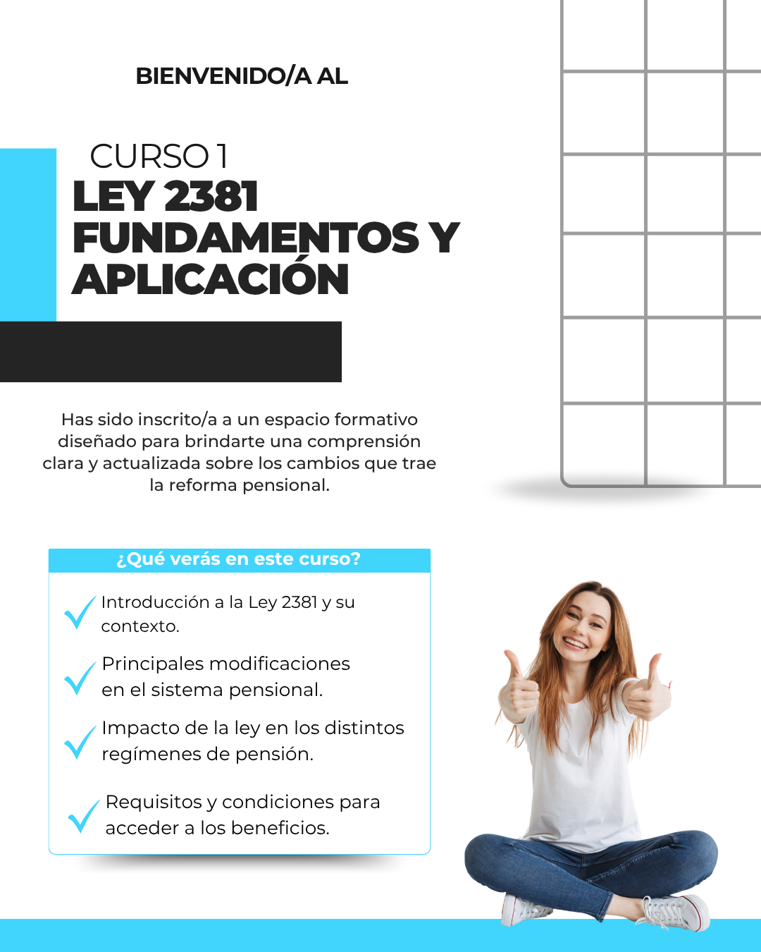 Curso 1:  Ley 2381 - Fundamentos y Aplicación