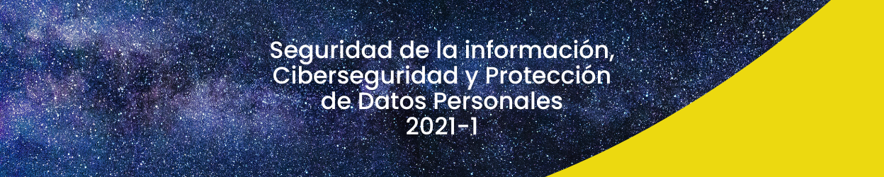 Curso Seguridad de la Información, Ciberseguridad y Protección de Datos Personales 2021 - I