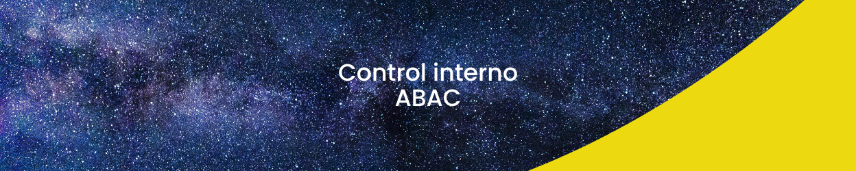 Control Interno - ABAC